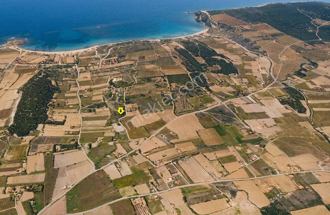 Remax Area'dan Bozaada'da Asfalta Cephe Satılık Köşe Parsel