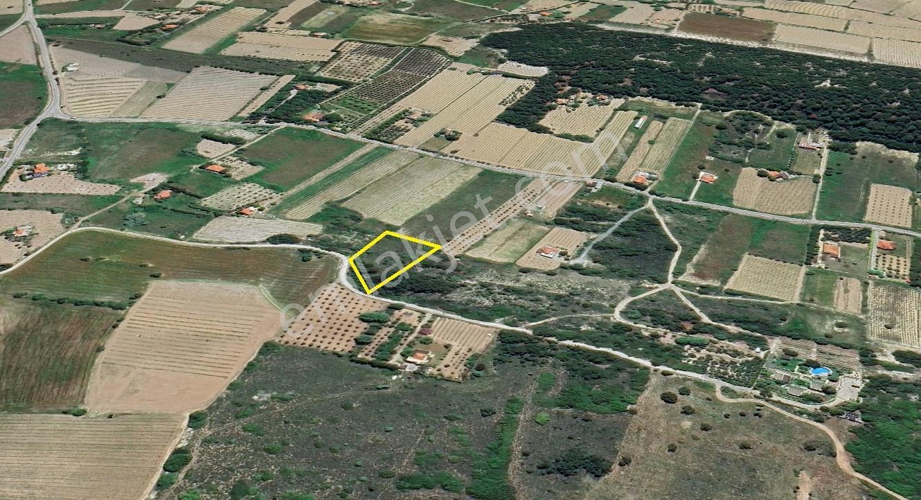 Remax Area'dan Bozaada'da Asfalta Cephe Satılık Köşe Parsel — fotoğraf 2