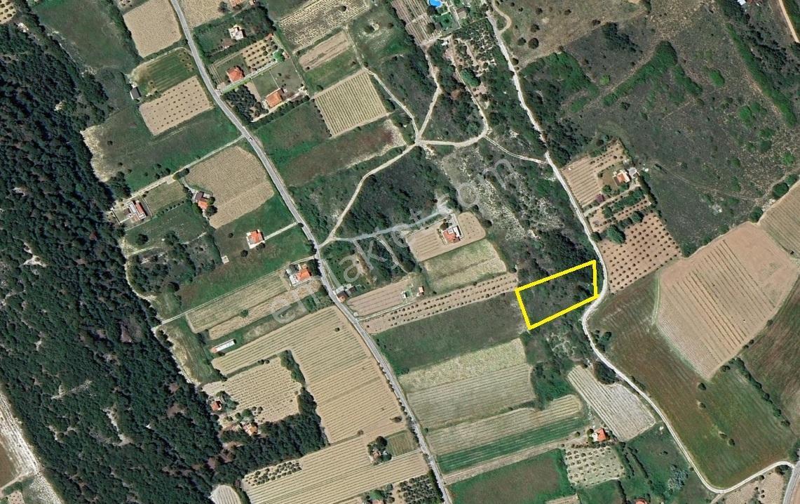 Remax Area'dan Bozaada'da Asfalta Cephe Satılık Köşe Parsel — fotoğraf 5