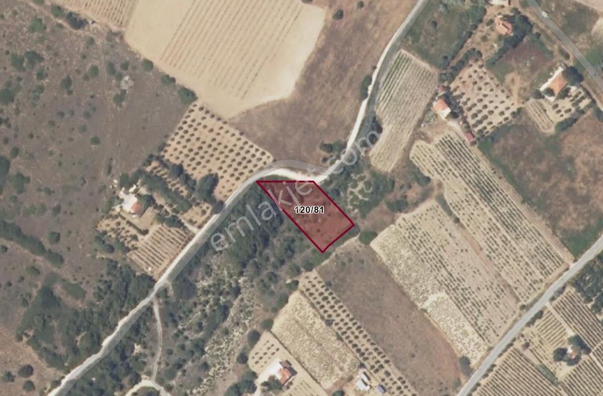 Remax Area'dan Bozaada'da Asfalta Cephe Satılık Köşe Parsel — fotoğraf 6