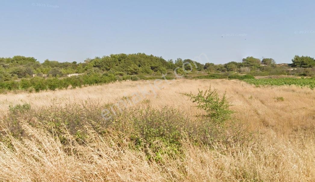 Remax Area'dan Bozaada'da Asfalta Cephe Satılık Köşe Parsel — fotoğraf 8