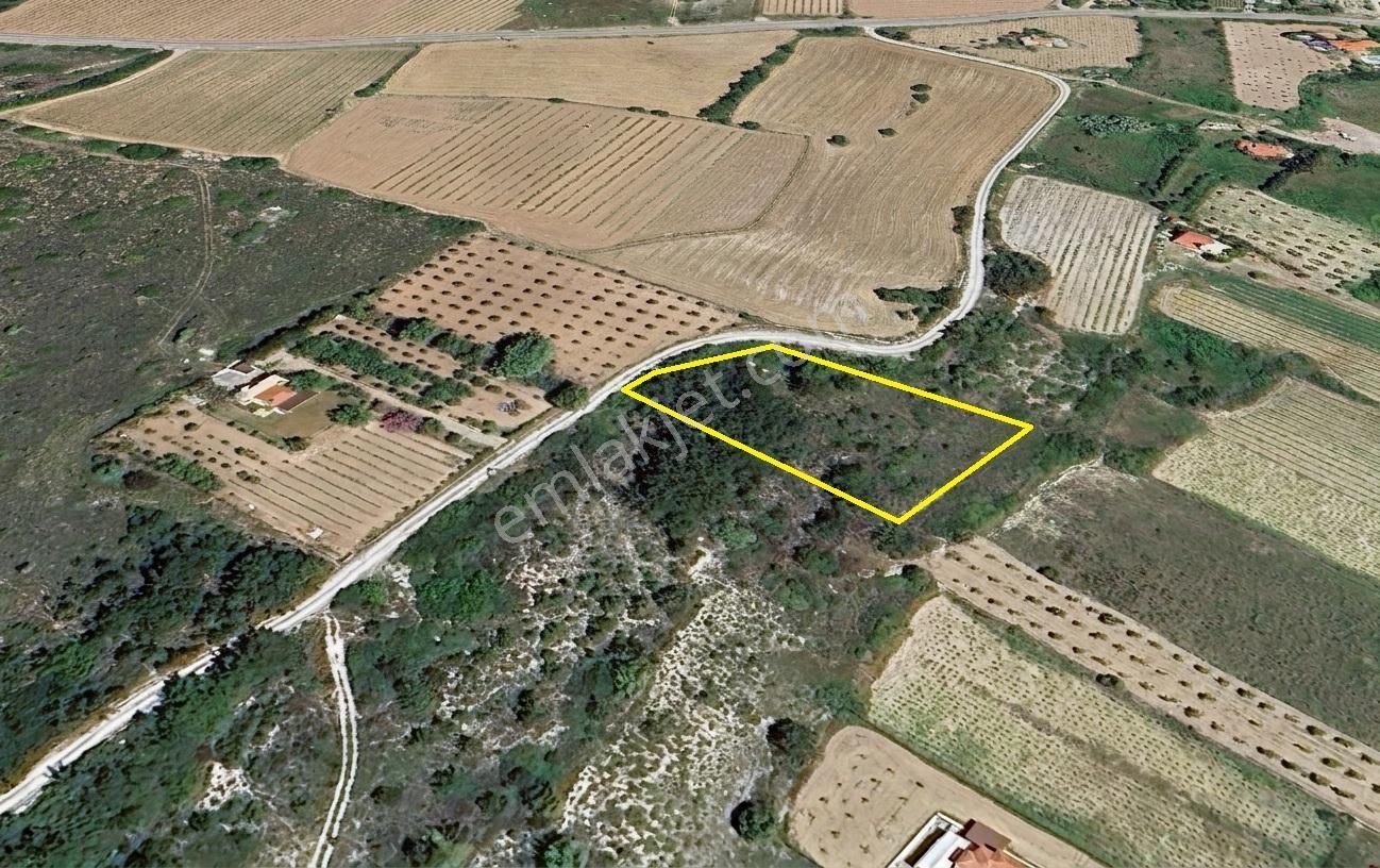 Remax Area'dan Bozaada'da Asfalta Cephe Satılık Köşe Parsel — fotoğraf 9