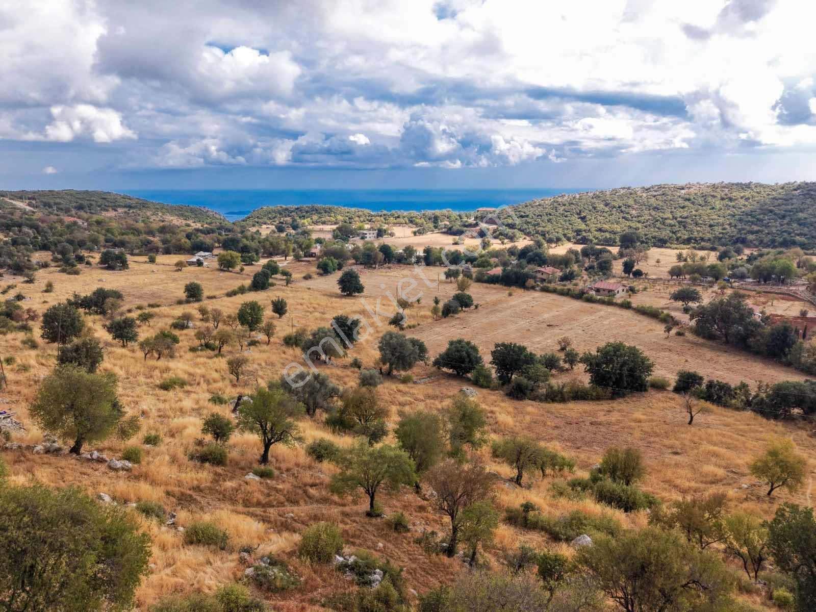 Antalya Kaş Gökçeören'de 37.847 M2 Satılık Tarla — fotoğraf 6