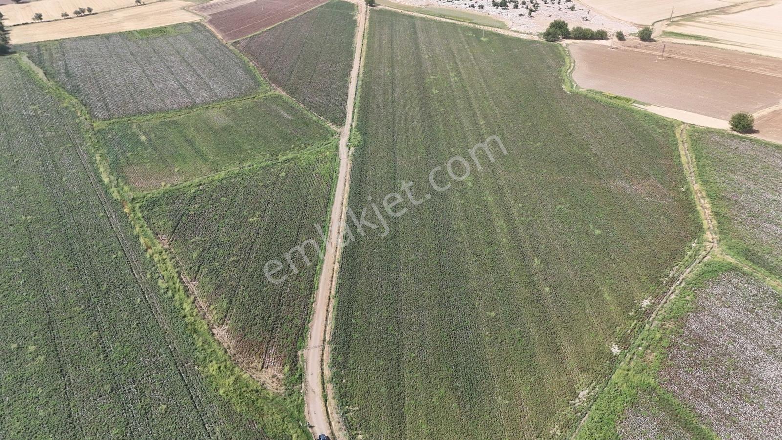Hakev'den Kargalı Köyünde Satılık 74 Dönüm Sulu Tarla — fotoğraf 2