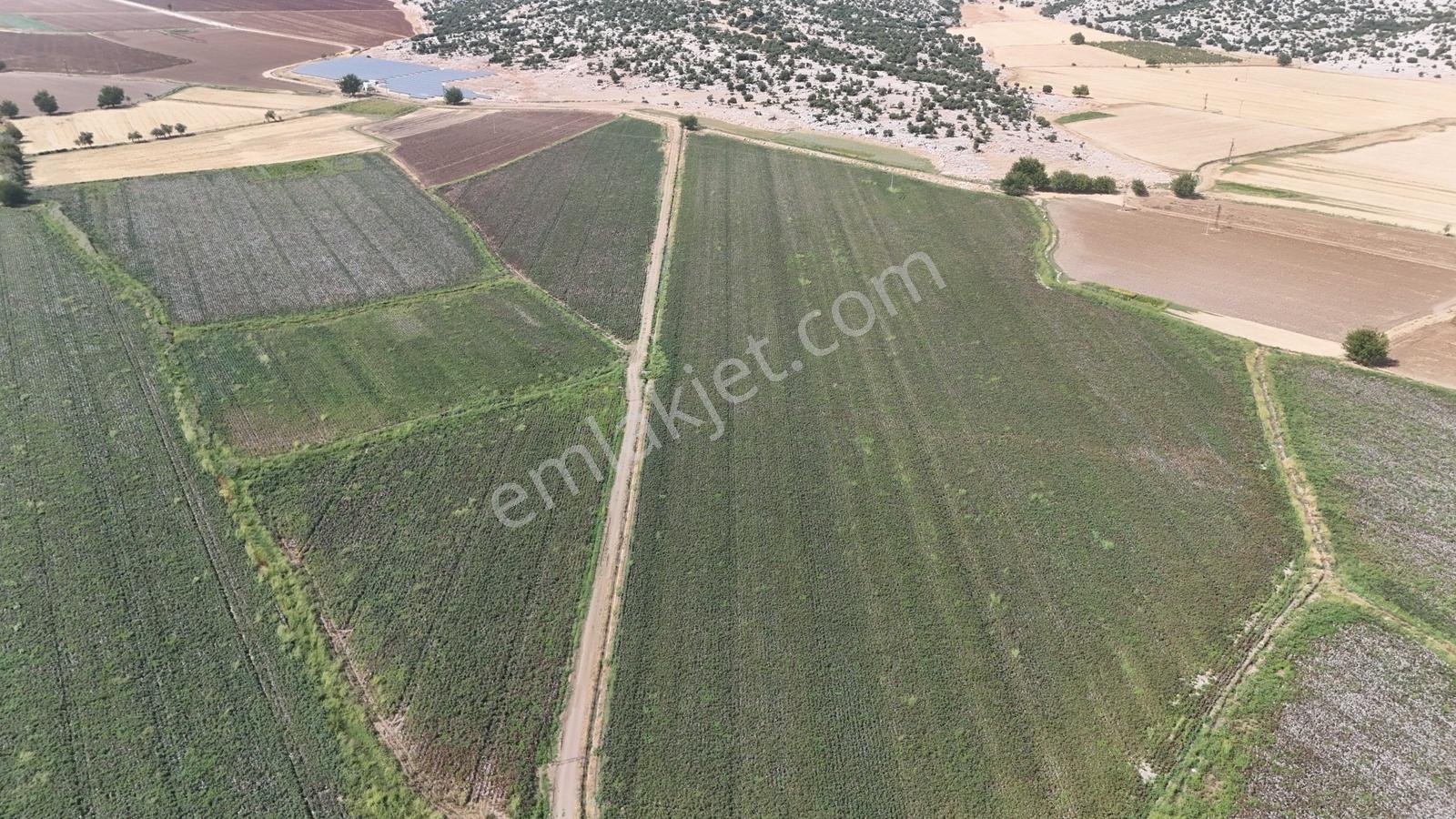 Hakev'den Kargalı Köyünde Satılık 74 Dönüm Sulu Tarla — fotoğraf 3