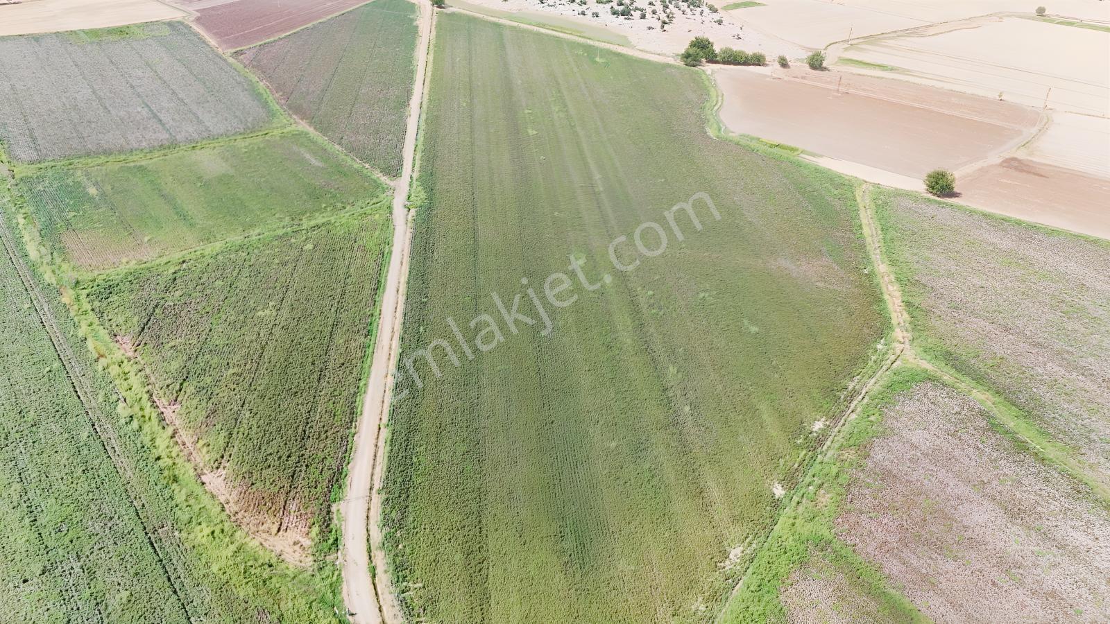 Hakev'den Kargalı Köyünde Satılık 74 Dönüm Sulu Tarla — fotoğraf 4