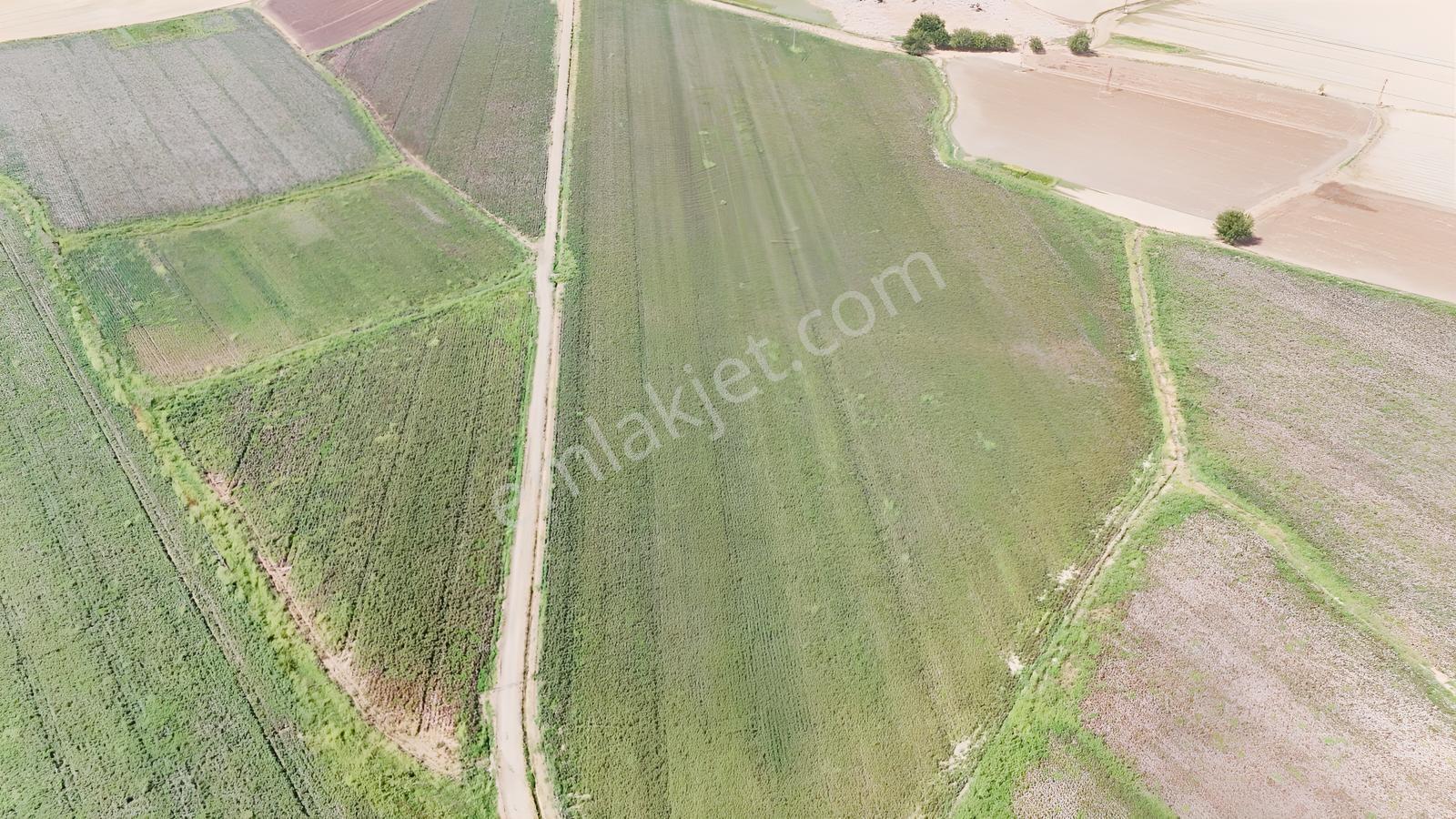 Hakev'den Kargalı Köyünde Satılık 74 Dönüm Sulu Tarla — fotoğraf 5
