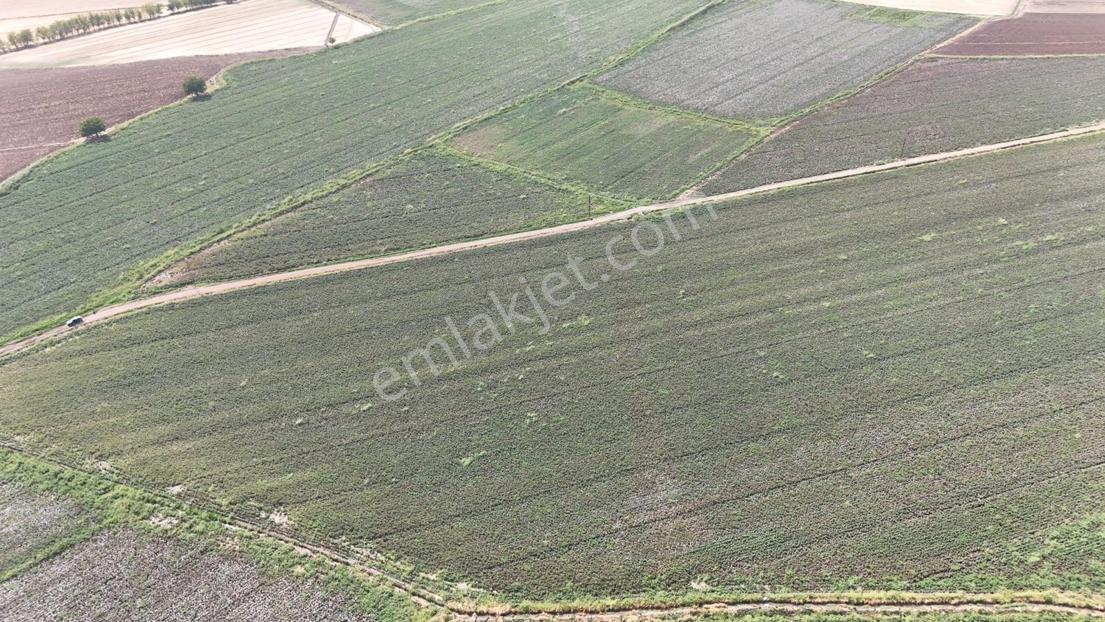 Hakev'den Kargalı Köyünde Satılık 74 Dönüm Sulu Tarla — fotoğraf 7