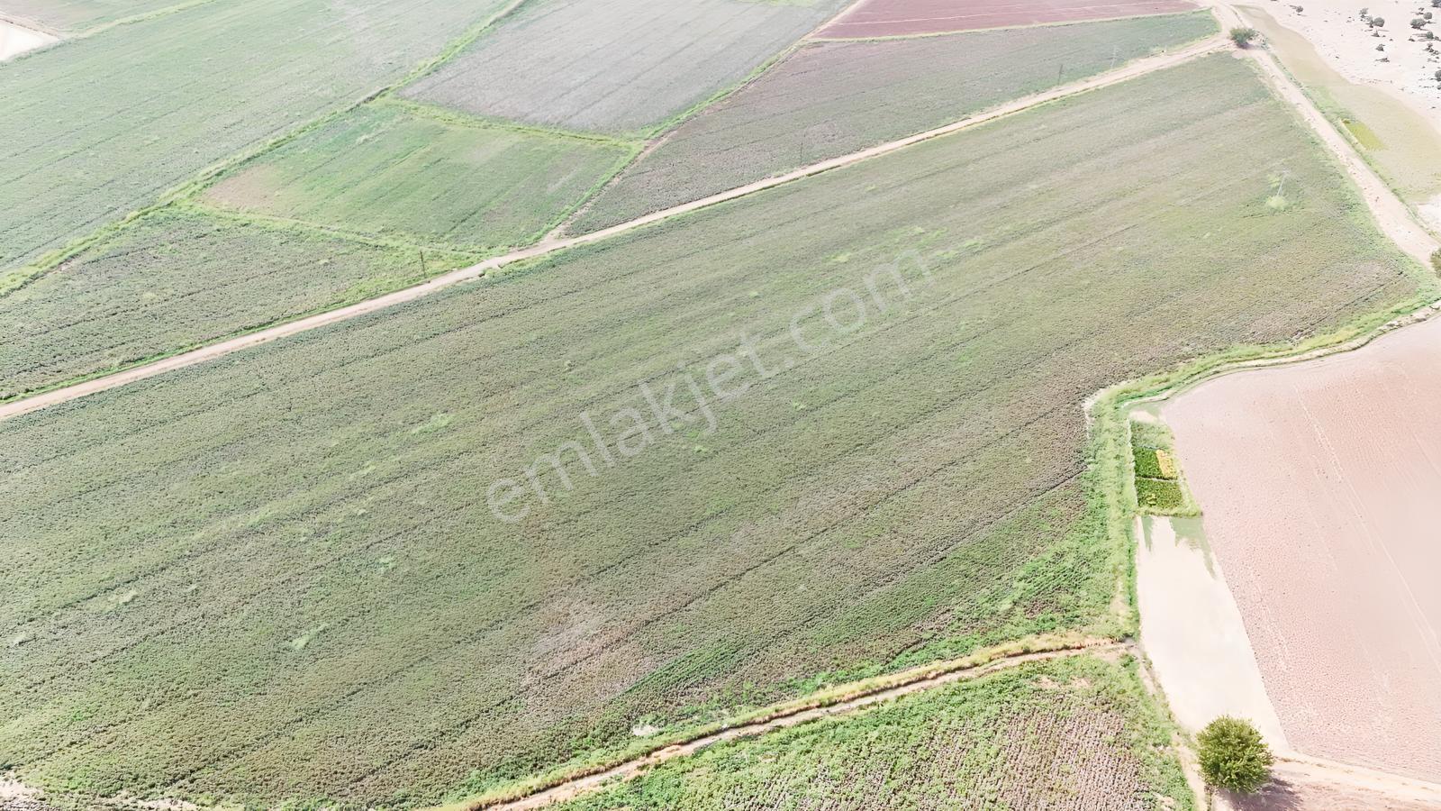 Hakev'den Kargalı Köyünde Satılık 74 Dönüm Sulu Tarla — fotoğraf 8