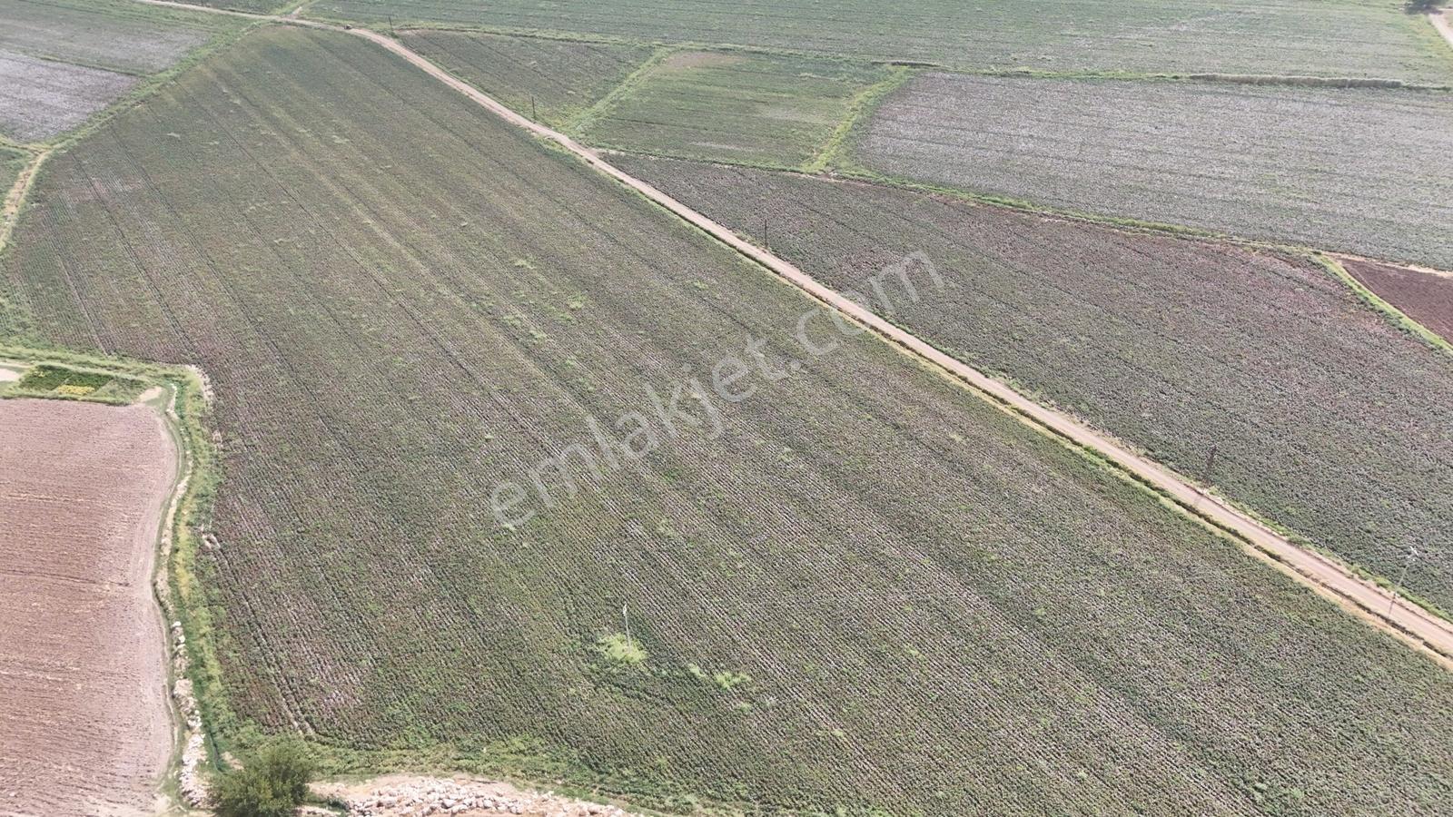 Hakev'den Kargalı Köyünde Satılık 74 Dönüm Sulu Tarla — fotoğraf 10