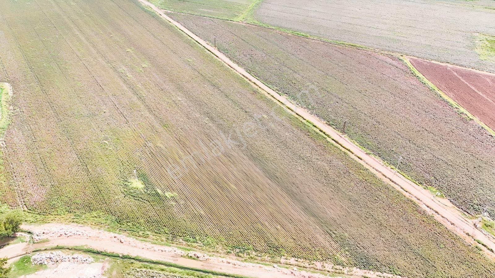 Hakev'den Kargalı Köyünde Satılık 74 Dönüm Sulu Tarla — fotoğraf 11