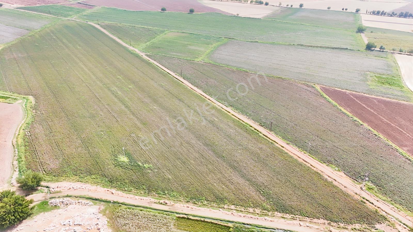 Hakev'den Kargalı Köyünde Satılık 74 Dönüm Sulu Tarla — fotoğraf 12