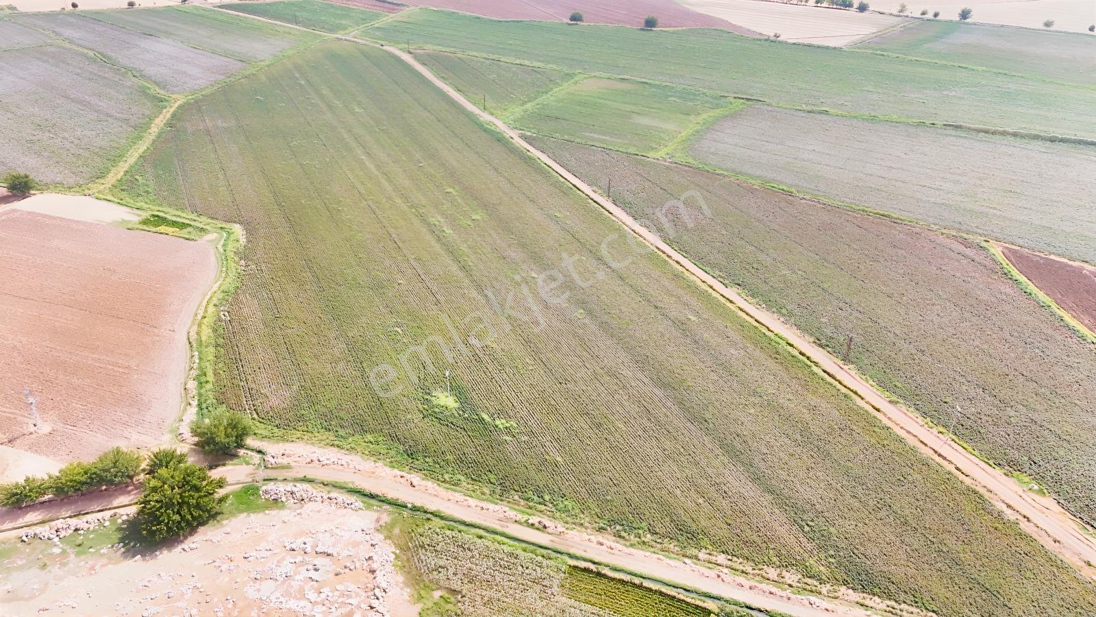 Hakev'den Kargalı Köyünde Satılık 74 Dönüm Sulu Tarla — fotoğraf 13