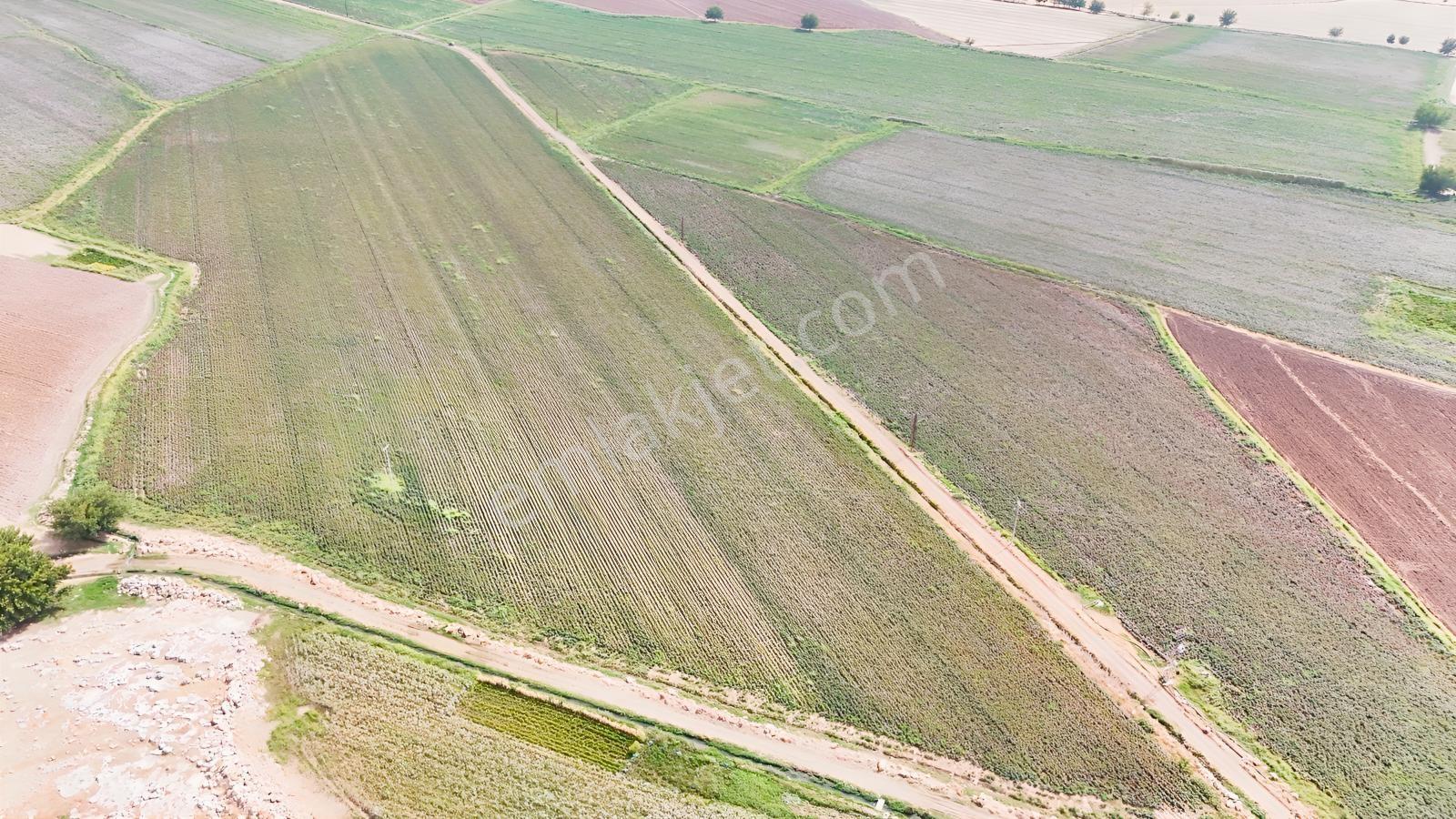 Hakev'den Kargalı Köyünde Satılık 74 Dönüm Sulu Tarla — fotoğraf 15