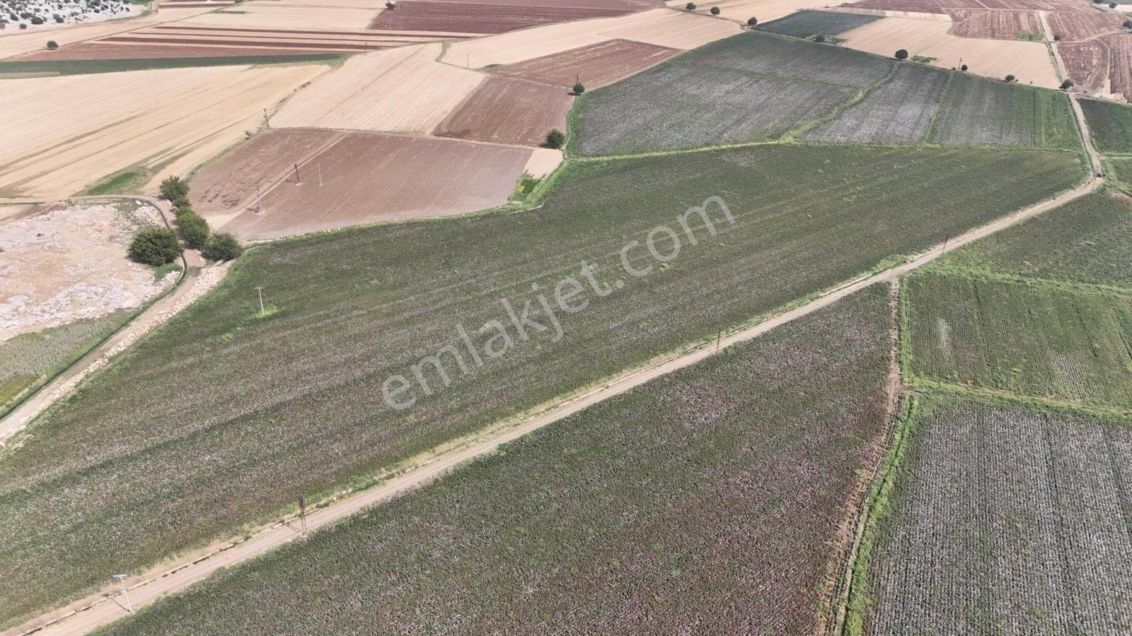 Hakev'den Kargalı Köyünde Satılık 74 Dönüm Sulu Tarla — fotoğraf 17