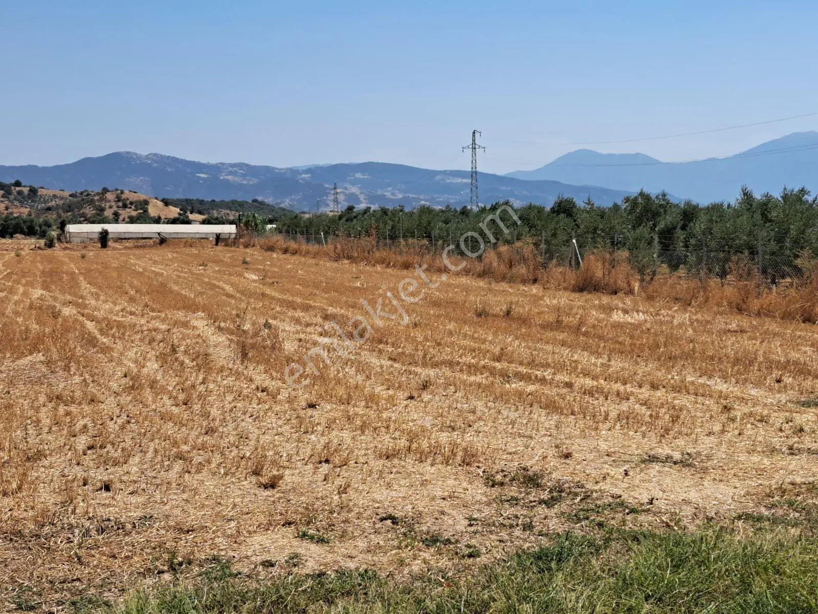 Menemen Hatundere'de 12.210 M2 Arazi İçinde 3140 M2 Hisse Tapu Satılıktır. — fotoğraf 4