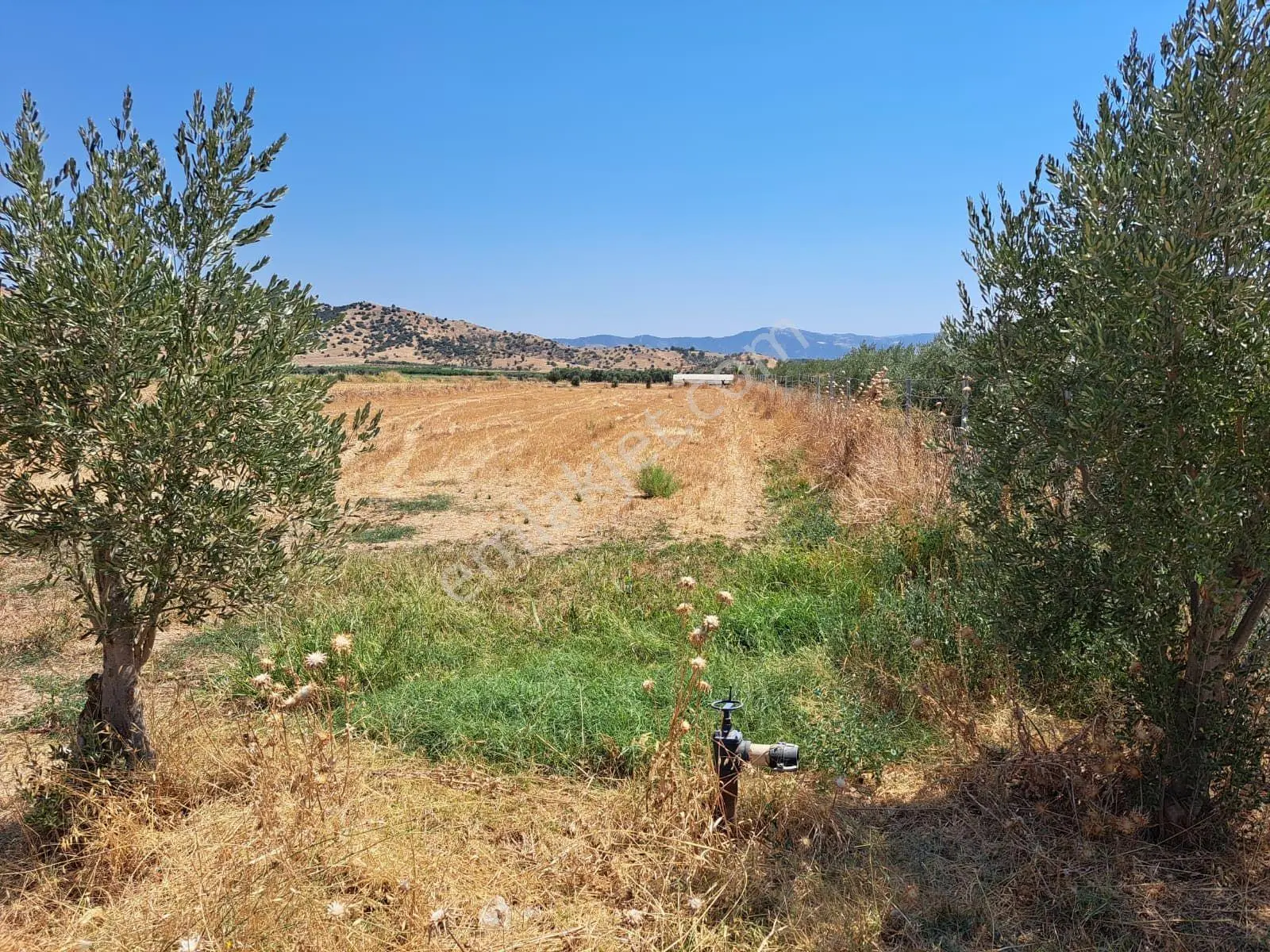 Menemen Hatundere'de 12.210 M2 Arazi İçinde 3140 M2 Hisse Tapu Satılıktır. — fotoğraf 5