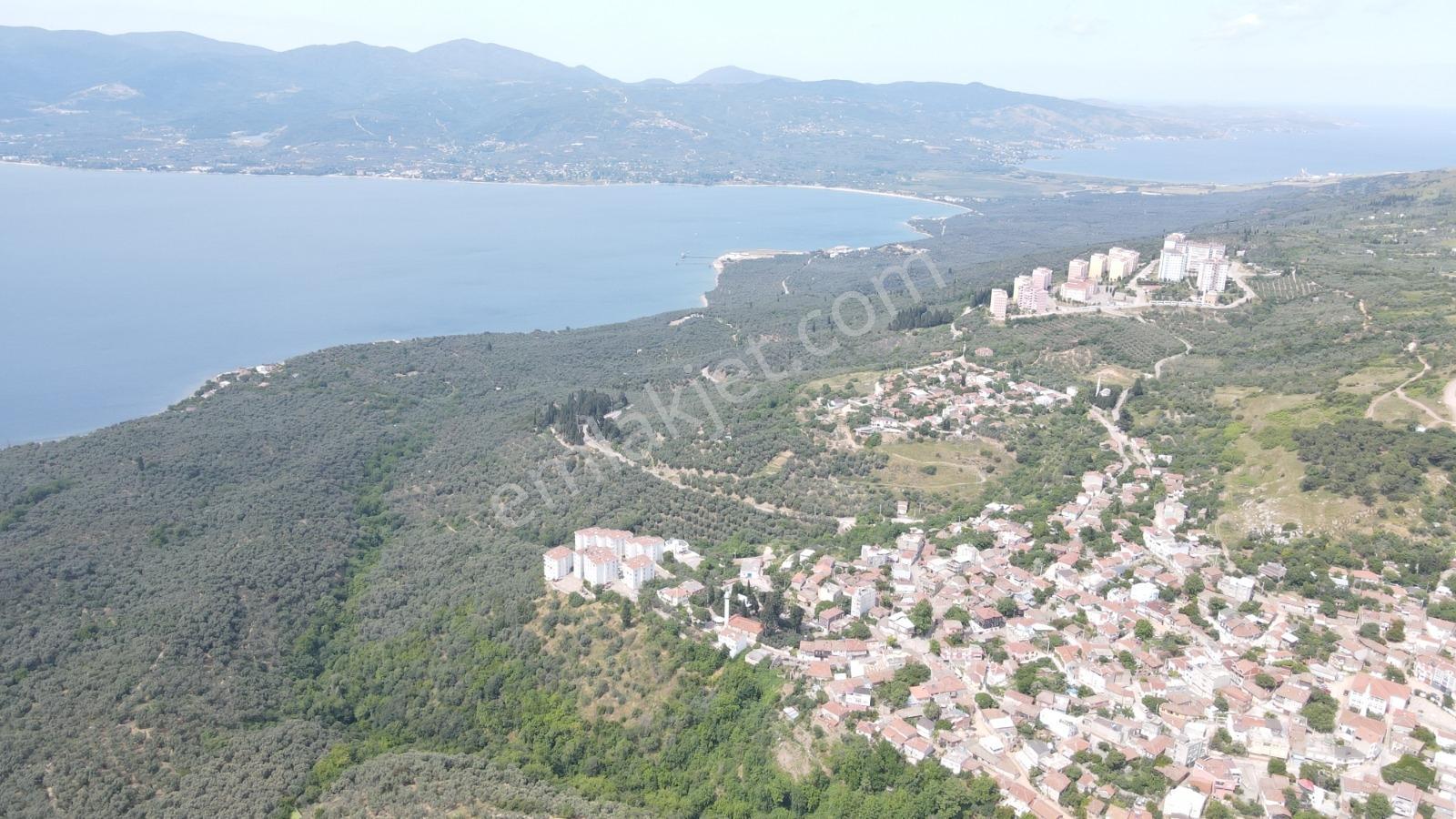Expert'ten Edincik'te Merkeze Yakın Satılık Yatırımlık Arazi — fotoğraf 7
