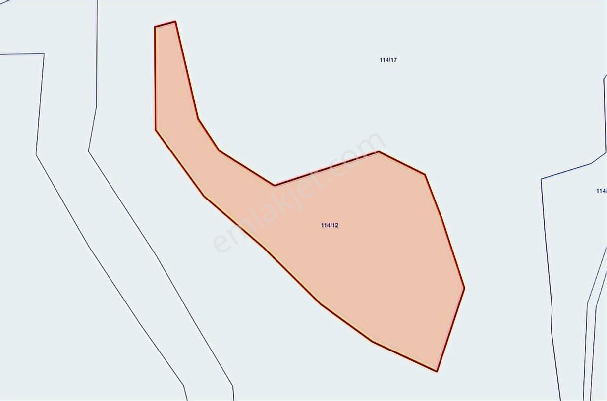 C.k'dan Sivas Merkez Himmetfakıda Satılık 8.030m2 Tektapu Tarla — fotoğraf 4
