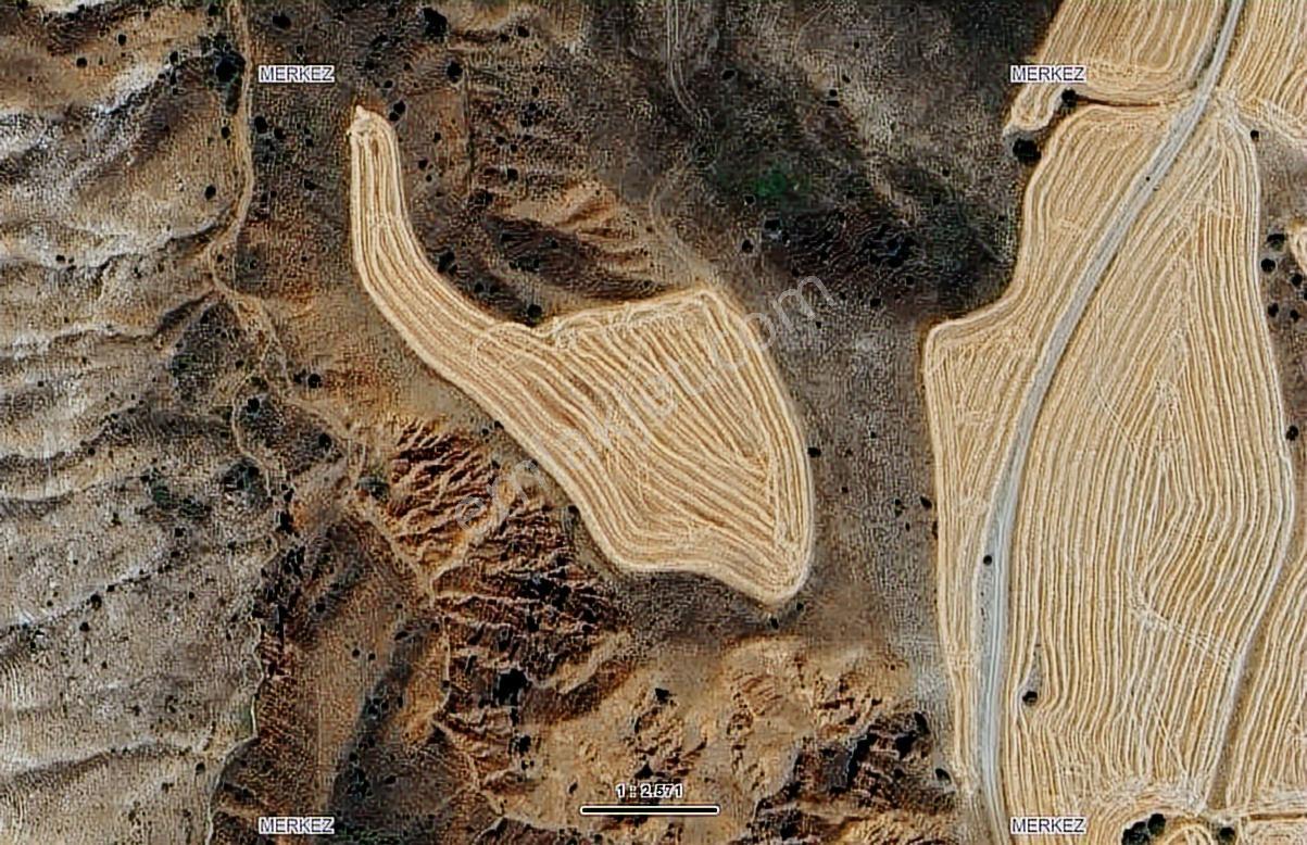C.k'dan Sivas Merkez Himmetfakıda Satılık 8.030m2 Tektapu Tarla — fotoğraf 19