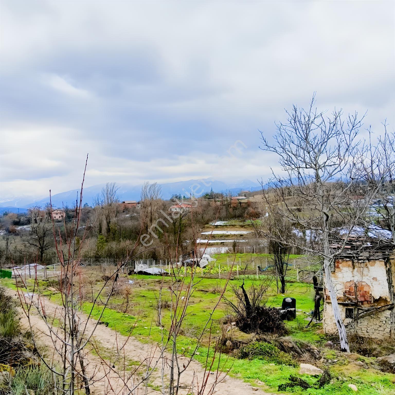 Safranbolu Yazıköy'de Satılık 1079 M2 Satılık Bahçe — fotoğraf 2
