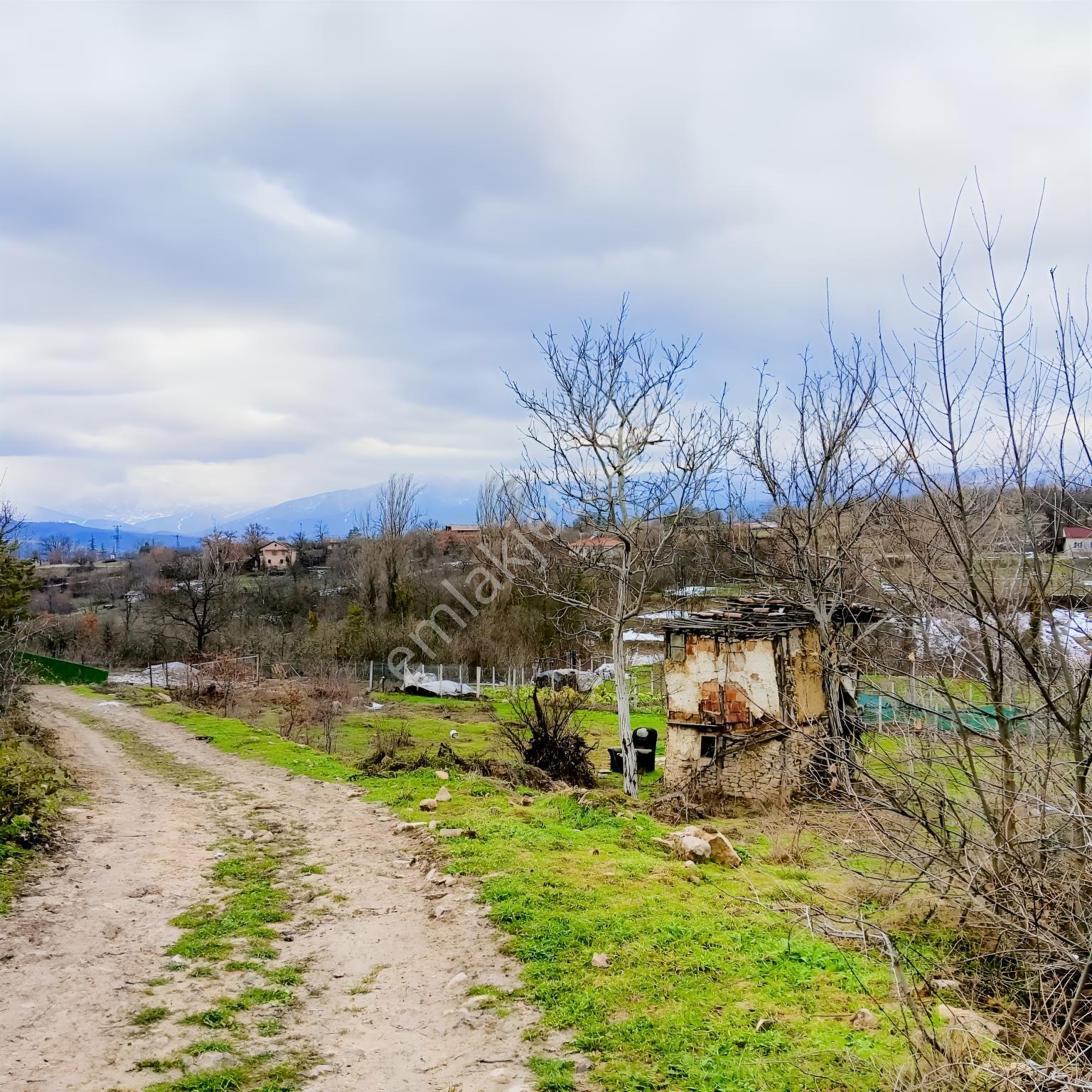 Safranbolu Yazıköy'de Satılık 1079 M2 Satılık Bahçe — fotoğraf 3