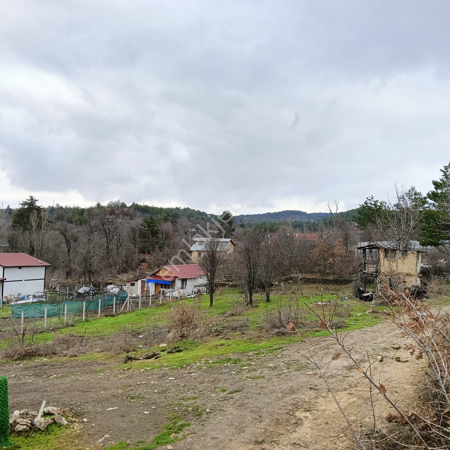 Safranbolu Yazıköy'de Satılık 1079 M2 Satılık Bahçe — fotoğraf 4
