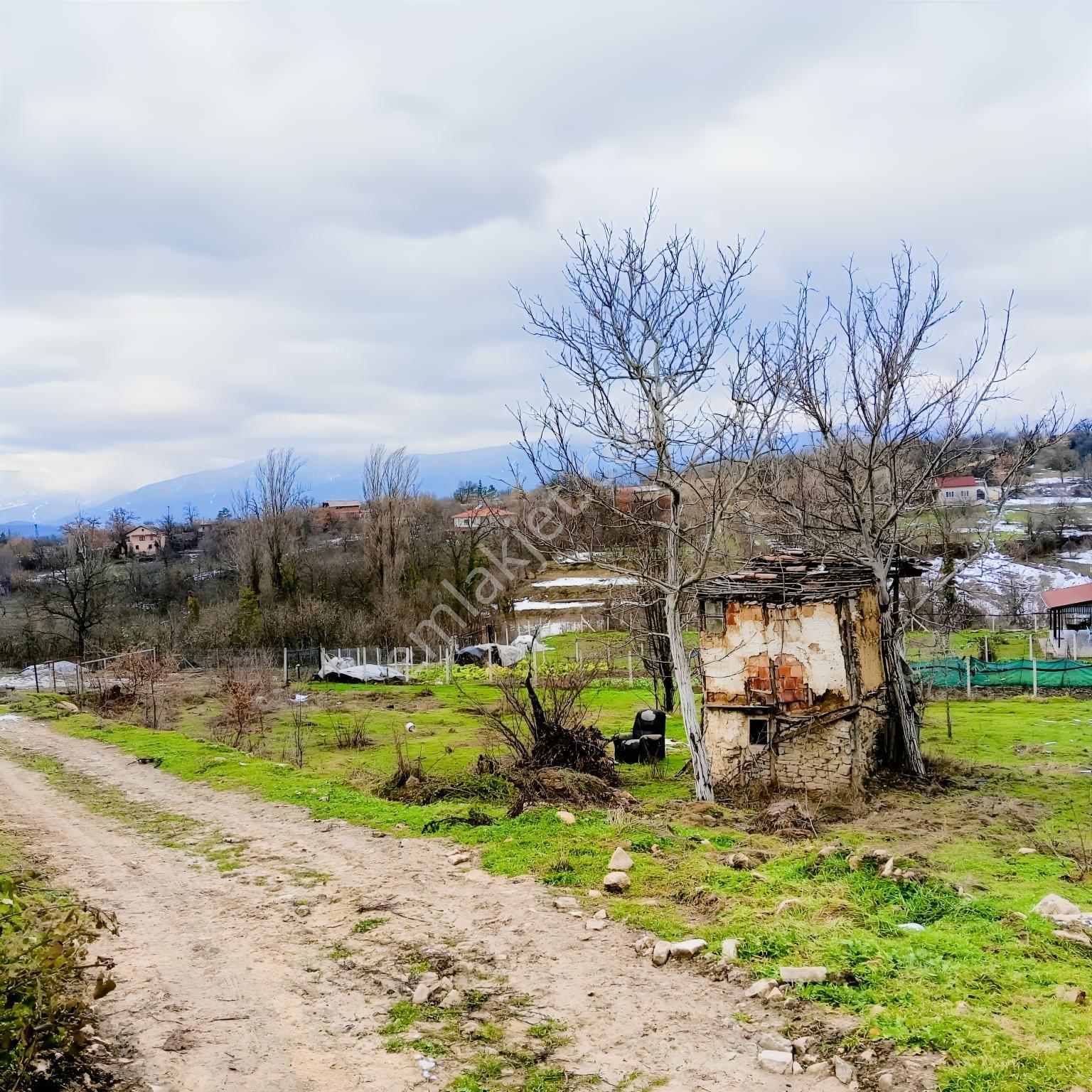 Safranbolu Yazıköy'de Satılık 1079 M2 Satılık Bahçe — fotoğraf 5