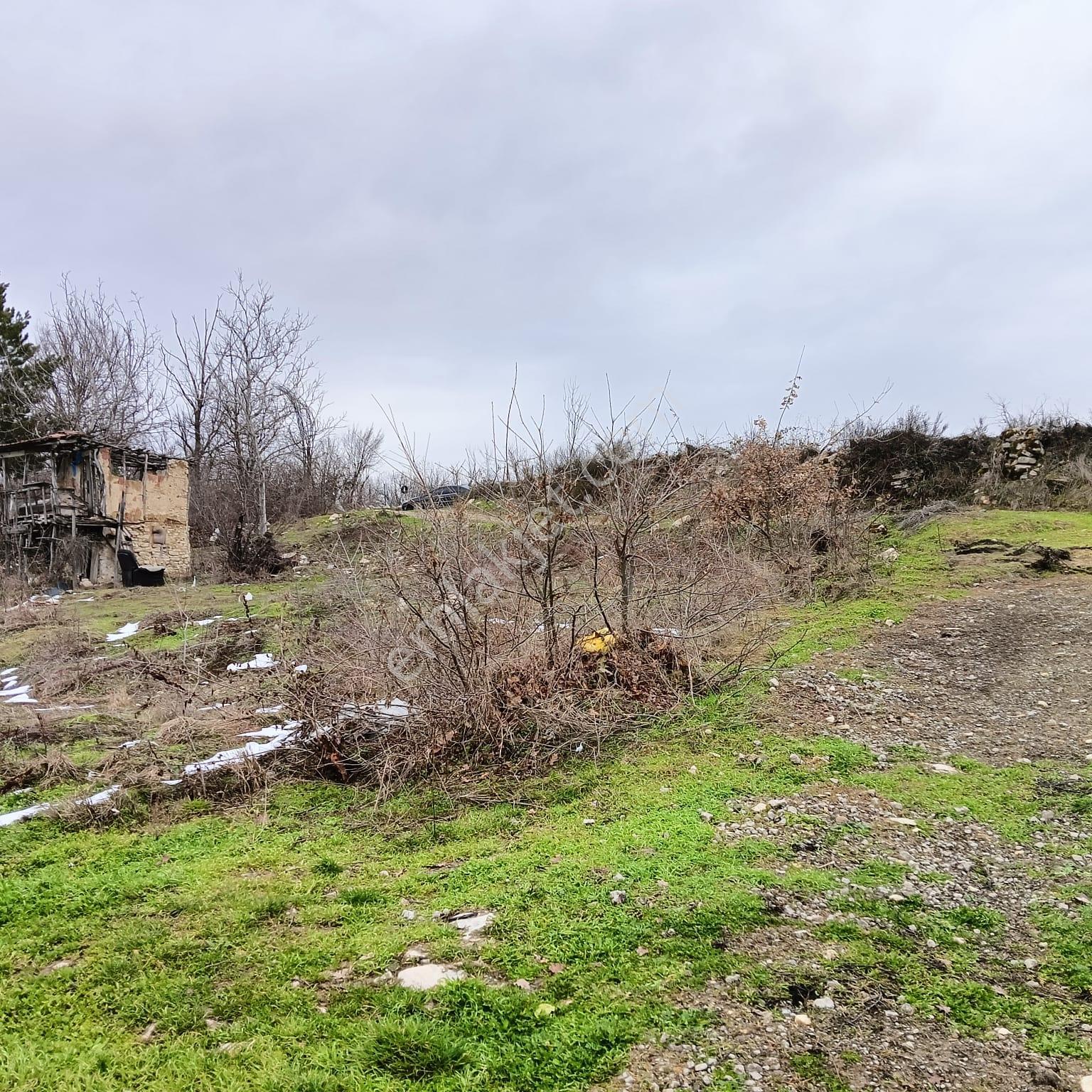 Safranbolu Yazıköy'de Satılık 1079 M2 Satılık Bahçe — fotoğraf 6