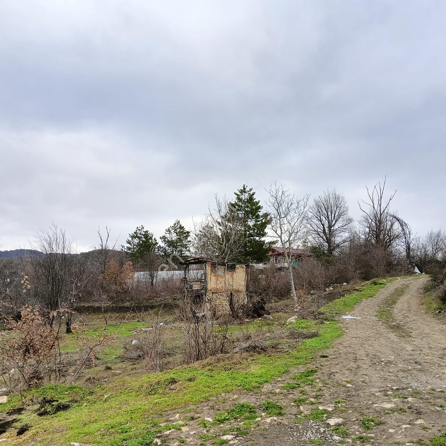 Safranbolu Yazıköy'de Satılık 1079 M2 Satılık Bahçe — fotoğraf 7