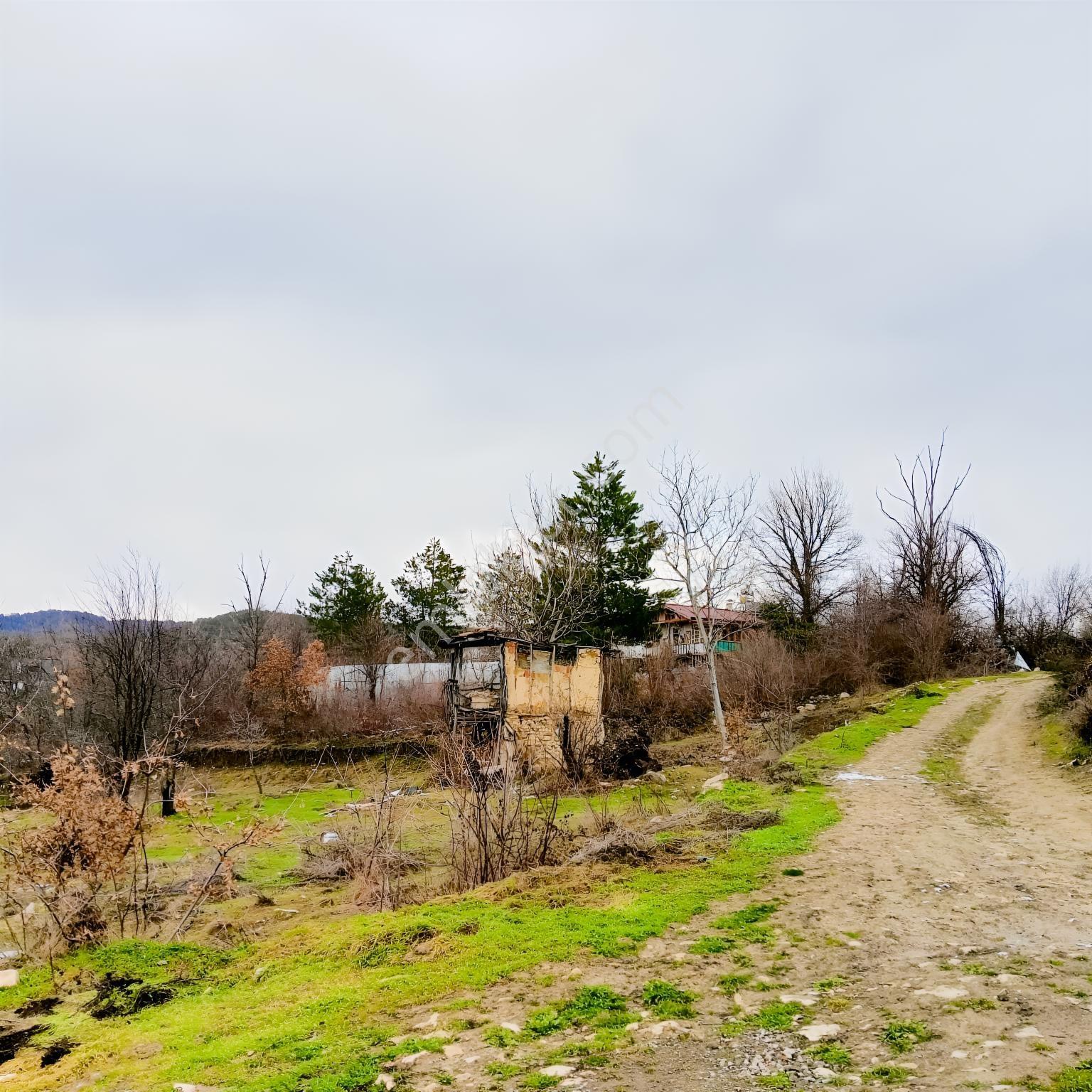 Safranbolu Yazıköy'de Satılık 1079 M2 Satılık Bahçe — fotoğraf 8