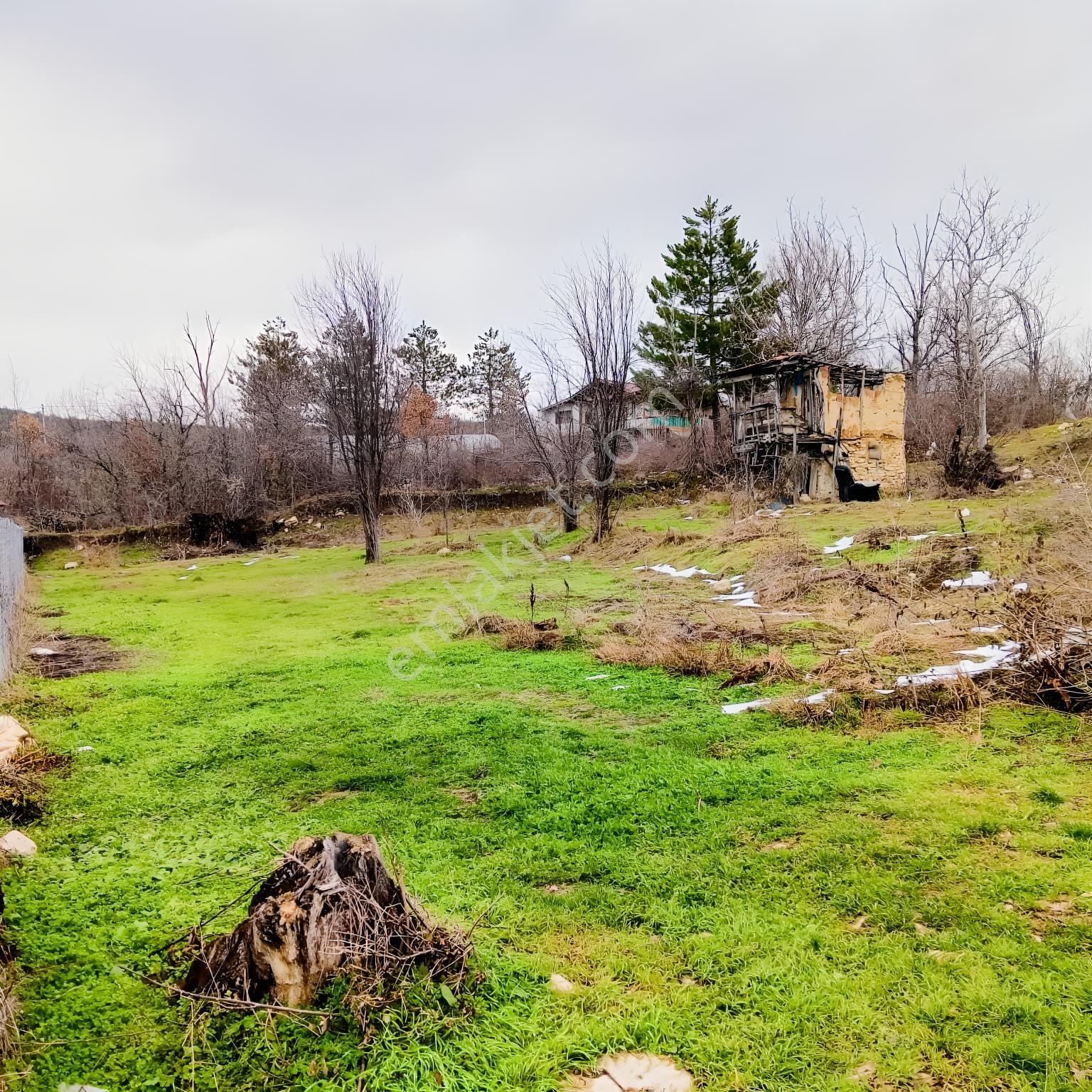 Safranbolu Yazıköy'de Satılık 1079 M2 Satılık Bahçe — fotoğraf 9