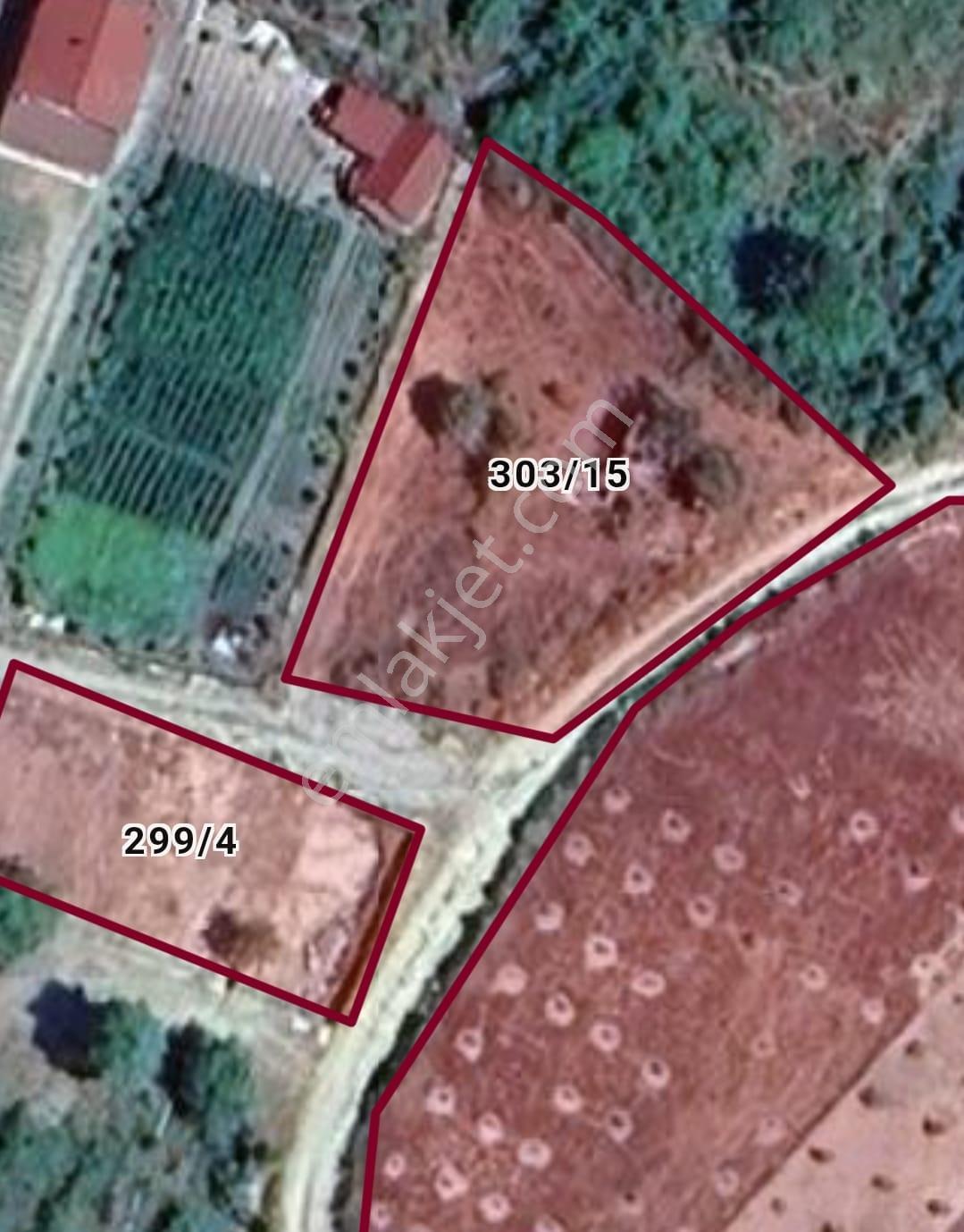 Safranbolu Yazıköy'de Satılık 1079 M2 Satılık Bahçe — fotoğraf 10