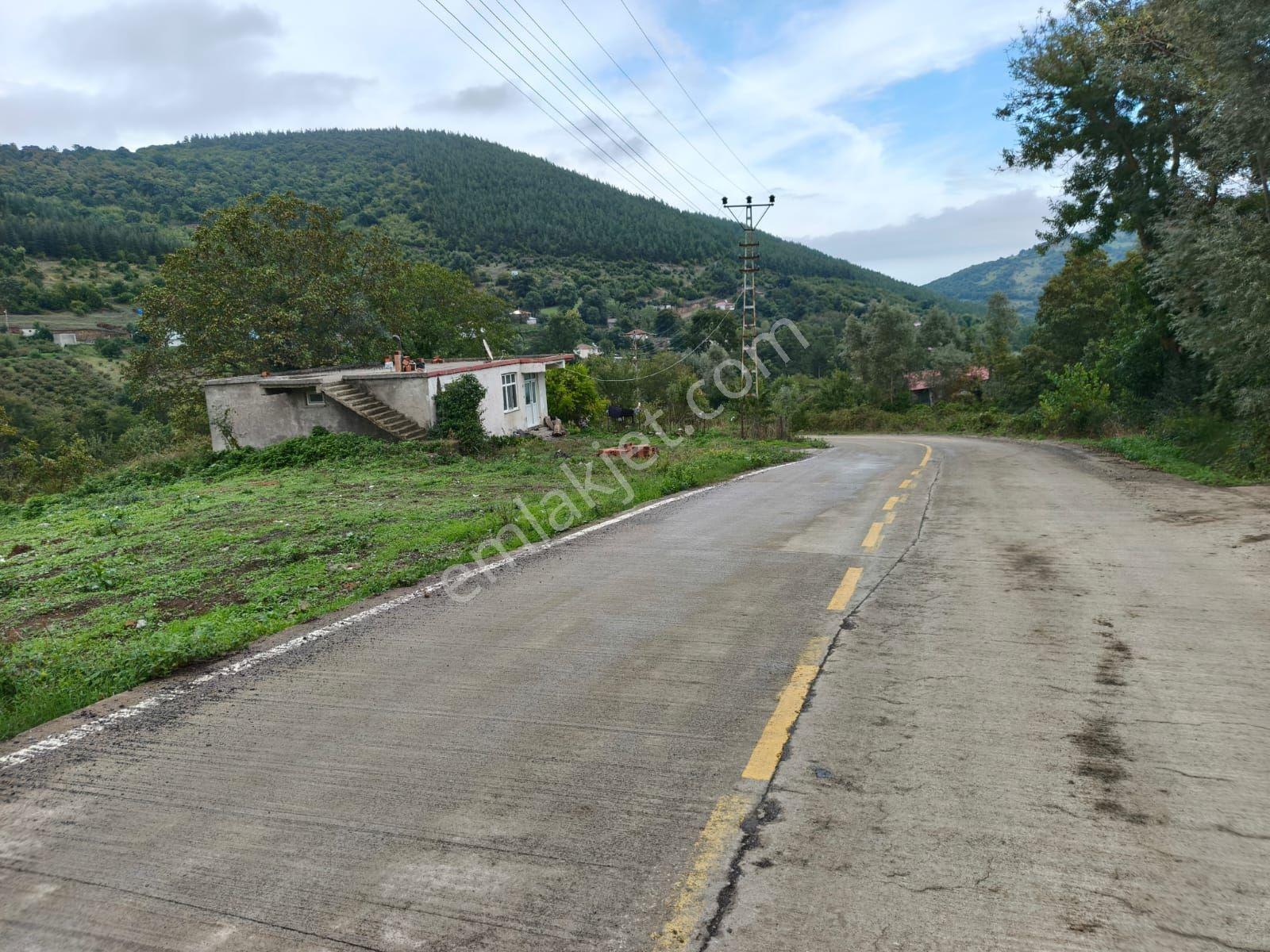 "atakum Karakavuk'ta Yerleşik Alan İçinde 2803m2 Hisse+ 165m2 Ev — fotoğraf 2