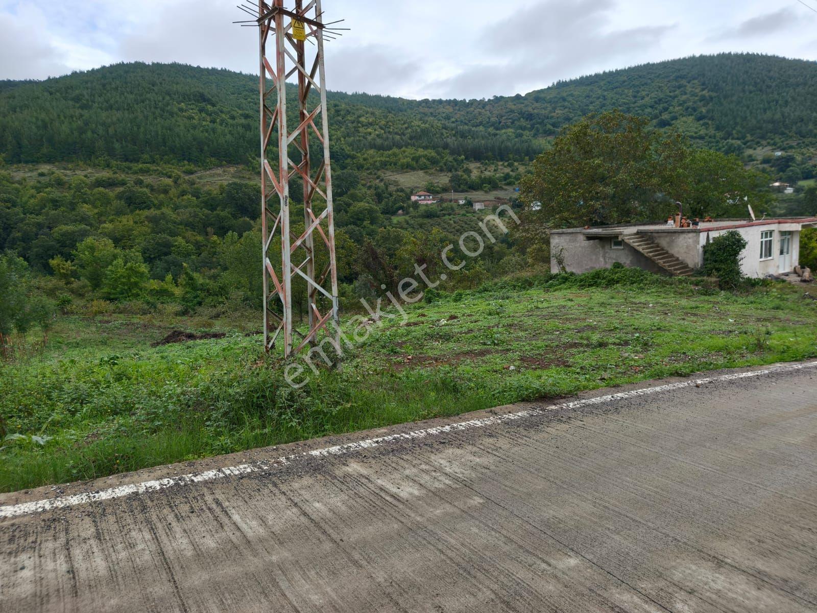 "atakum Karakavuk'ta Yerleşik Alan İçinde 2803m2 Hisse+ 165m2 Ev — fotoğraf 3