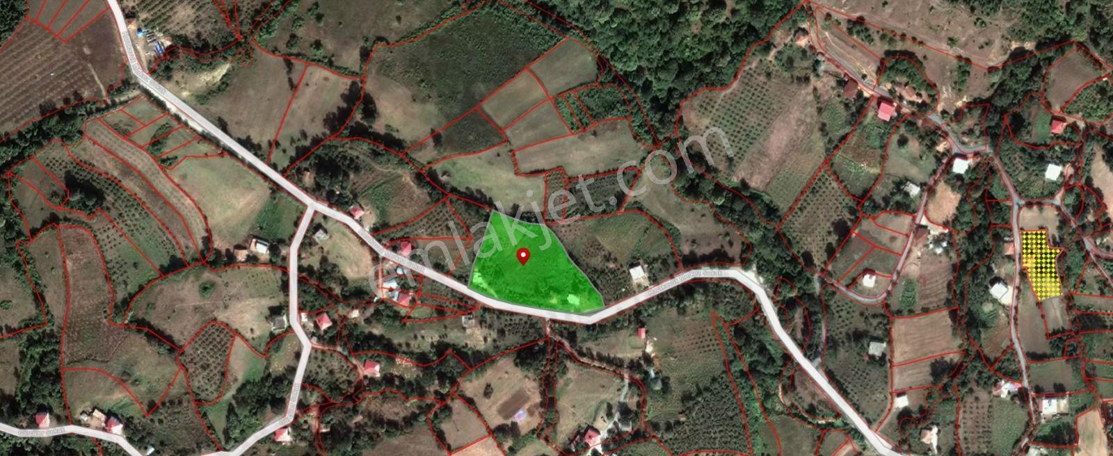 "atakum Karakavuk'ta Yerleşik Alan İçinde 2803m2 Hisse+ 165m2 Ev — fotoğraf 11