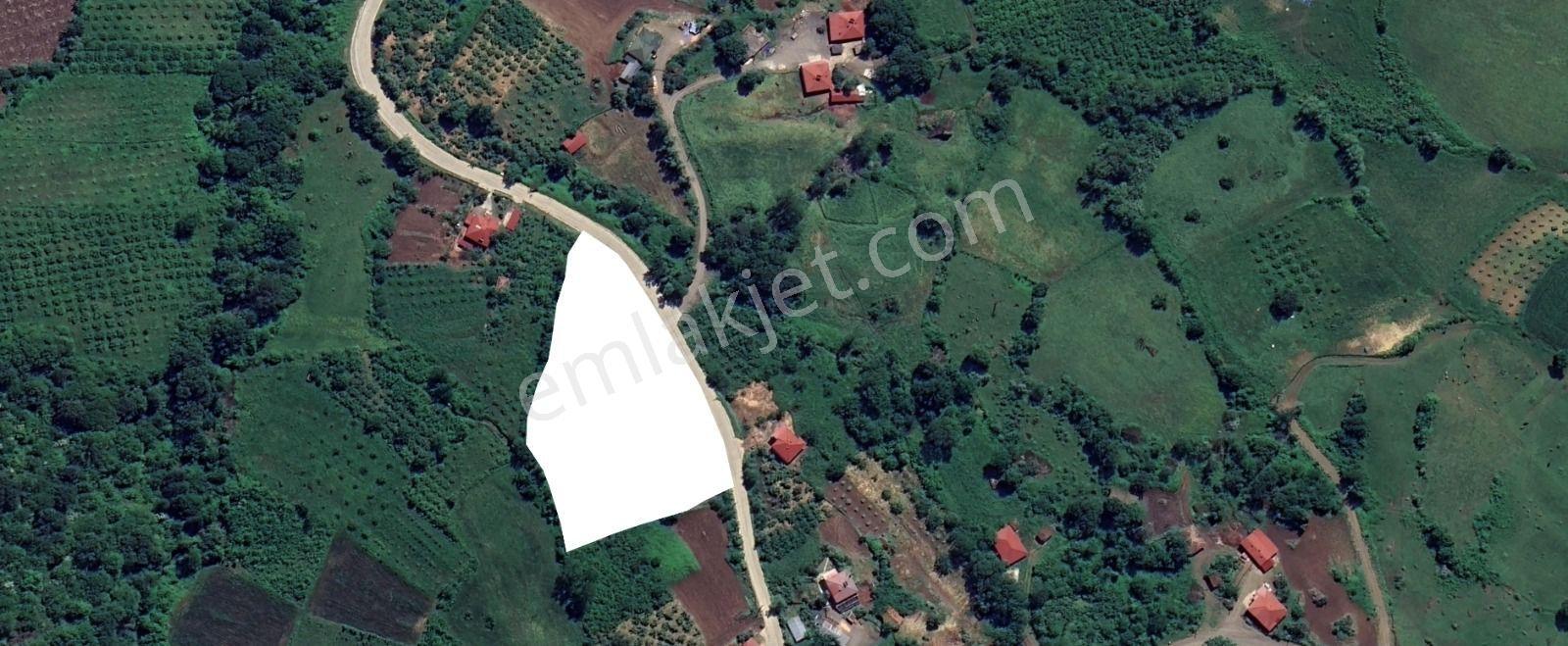"atakum Karakavuk'ta Yerleşik Alan İçinde 2803m2 Hisse+ 165m2 Ev — fotoğraf 12