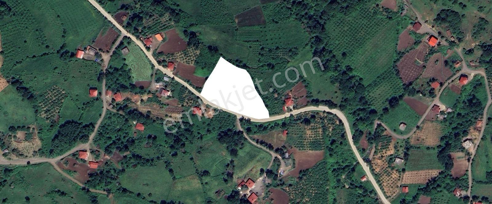"atakum Karakavuk'ta Yerleşik Alan İçinde 2803m2 Hisse+ 165m2 Ev — fotoğraf 19