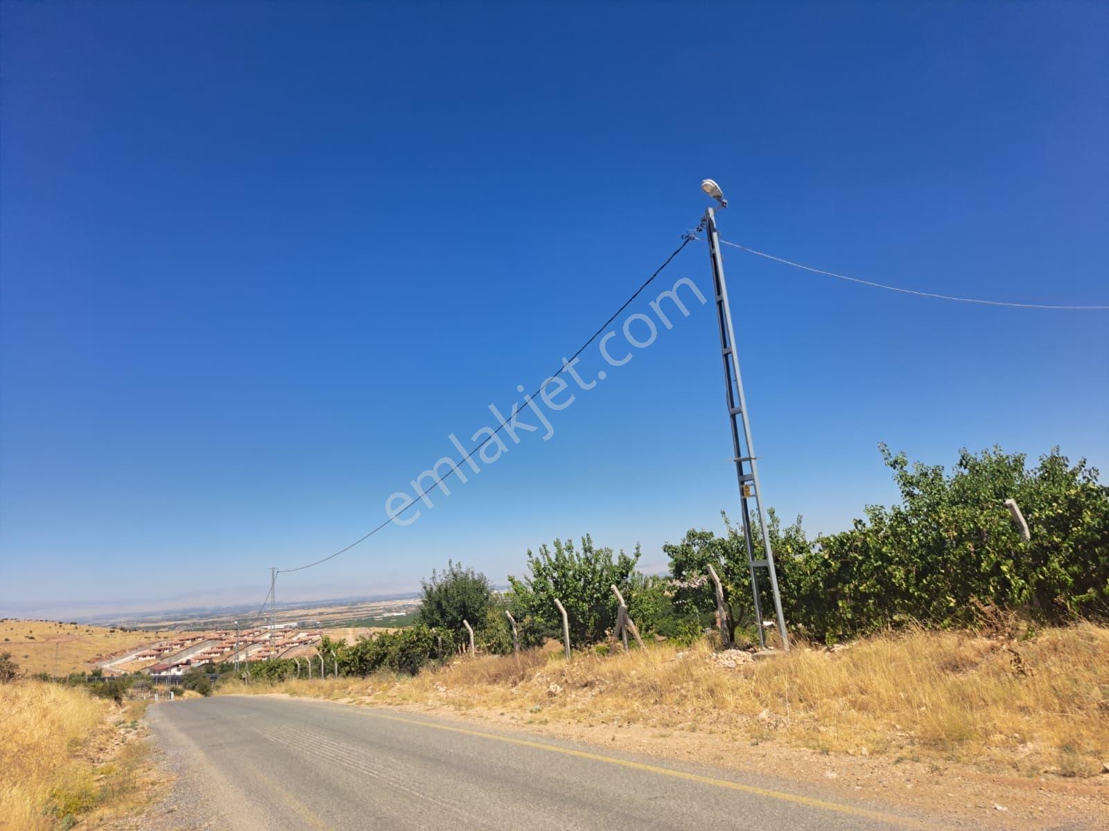 Cafanada Ankara Asfaltına 5 Dk Yatırımlık Satılık Tarla — fotoğraf 10