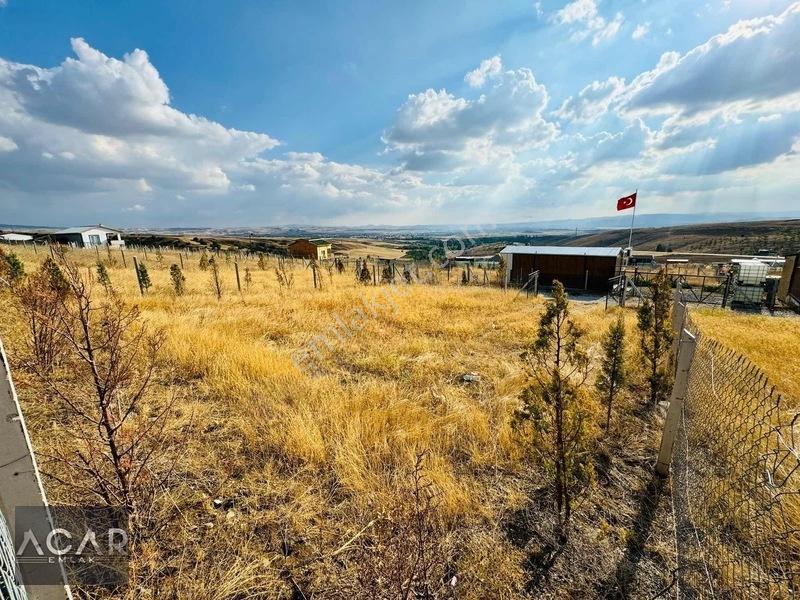 Acar Emlak'tan Elektrik Kuyu Suyu Olan Hazır Kurulu Bahçe — fotoğraf 29
