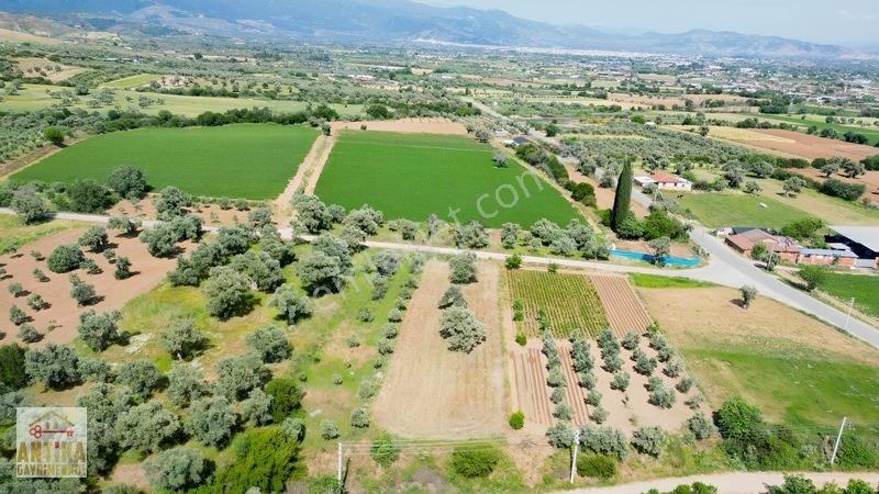 Antika Gayrimenkul'Den Işık Köyü Yola Sıfır İki Tapu Tek Fiyat