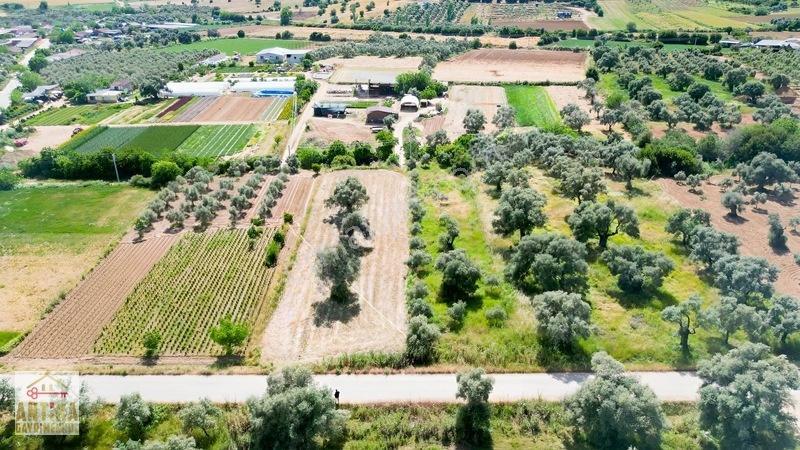 Antika Gayrimenkul'den Işık Köyü Yola Sıfır İki Tapu Tek Fiyat — fotoğraf 3