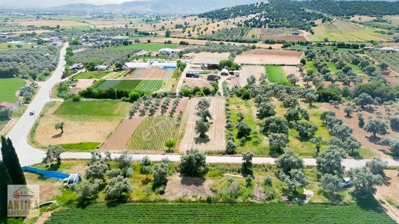 Antika Gayrimenkul'den Işık Köyü Yola Sıfır İki Tapu Tek Fiyat — fotoğraf 4