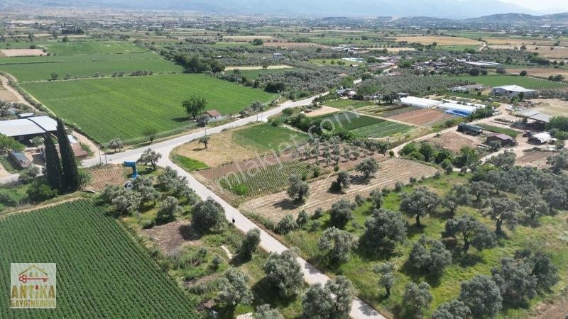 Antika Gayrimenkul'den Işık Köyü Yola Sıfır İki Tapu Tek Fiyat — fotoğraf 6