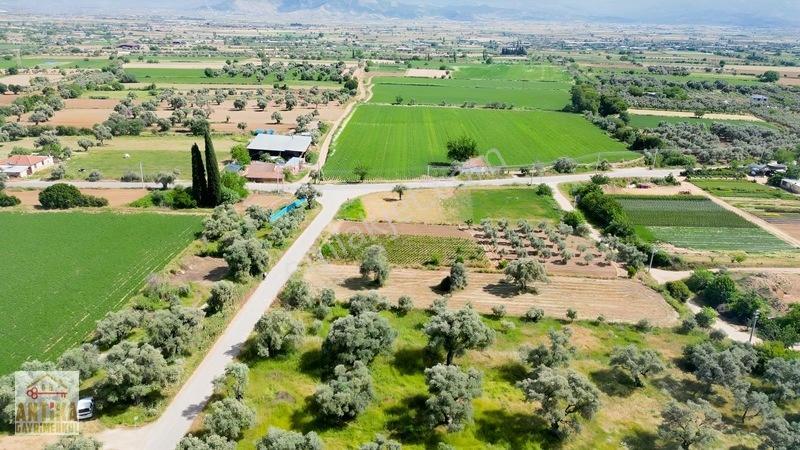 Antika Gayrimenkul'den Işık Köyü Yola Sıfır İki Tapu Tek Fiyat — fotoğraf 7