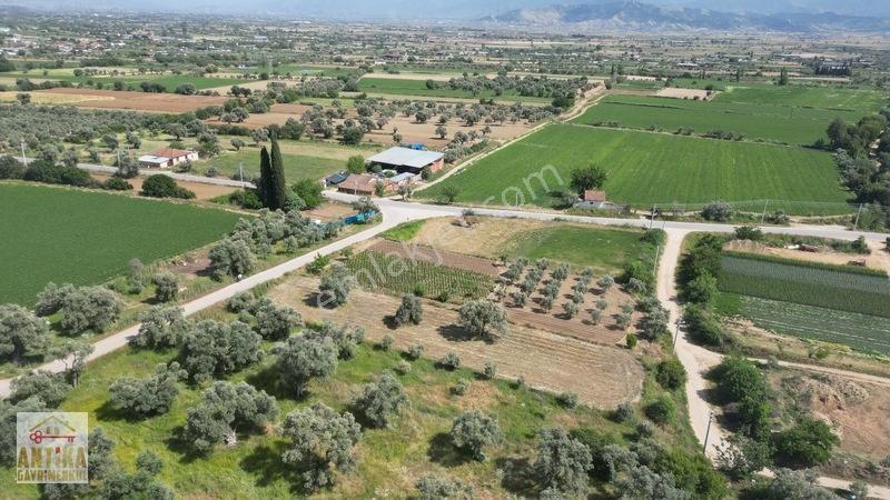 Antika Gayrimenkul'den Işık Köyü Yola Sıfır İki Tapu Tek Fiyat — fotoğraf 8