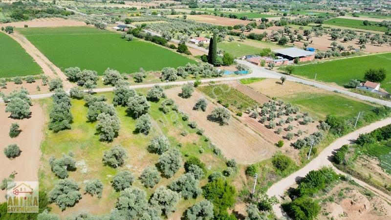 Antika Gayrimenkul'den Işık Köyü Yola Sıfır İki Tapu Tek Fiyat — fotoğraf 9