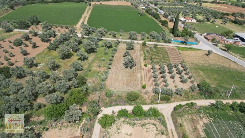 Antika Gayrimenkul'den Işık Köyü Yola Sıfır İki Tapu Tek Fiyat — fotoğraf 10