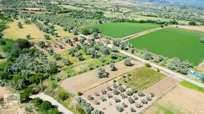 Antika Gayrimenkul'den Işık Köyü Yola Sıfır İki Tapu Tek Fiyat — fotoğraf 12