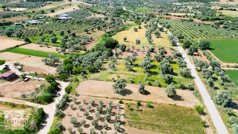 Antika Gayrimenkul'den Işık Köyü Yola Sıfır İki Tapu Tek Fiyat — fotoğraf 13